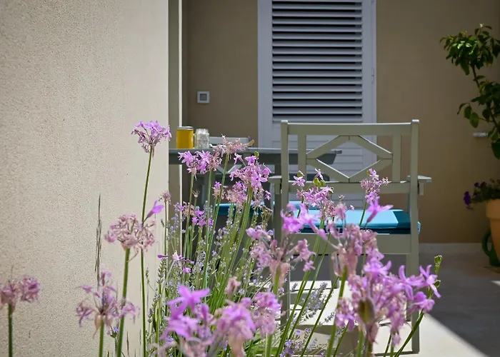 Festini Apartament *