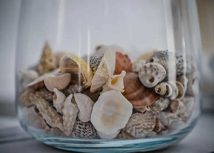 Appartement Festini *