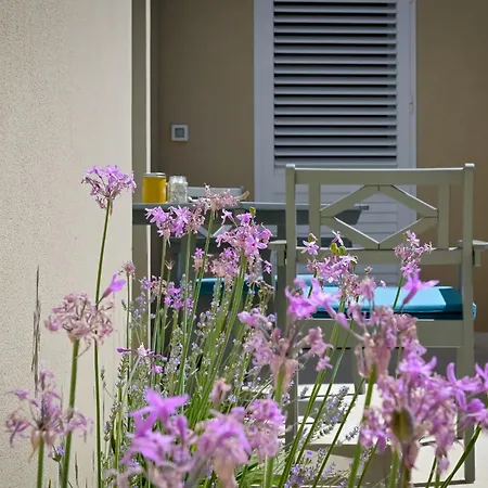 Festini Apartman *
